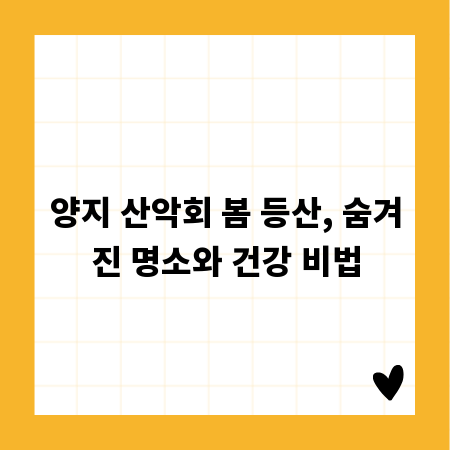 양지 산악회 봄 등산, 숨겨진 명소와 건강 비법