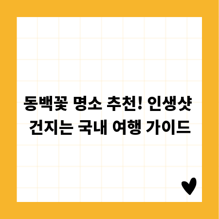 동백꽃 명소 추천! 인생샷 건지는 국내 여행 가이드