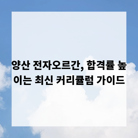 양산 전자오르간, 합격률 높이는 최신 커리큘럼 가이드