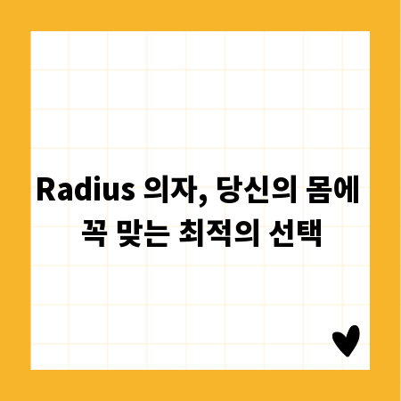 Radius 의자, 당신의 몸에 꼭 맞는 최적의 선택