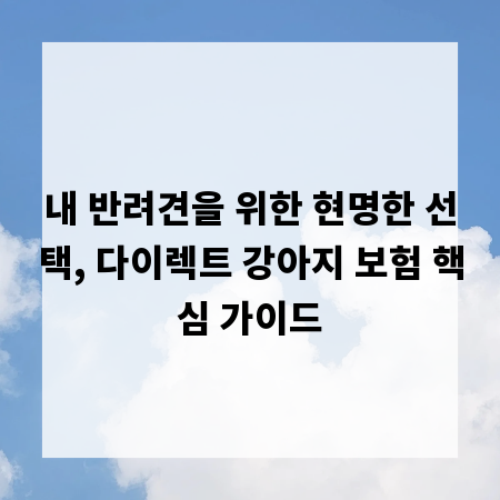 내 반려견을 위한 현명한 선택, 다이렉트 강아지 보험 핵심 가이드