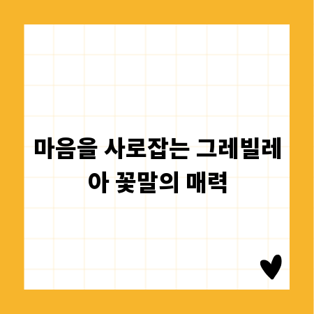 마음을 사로잡는 그레빌레아 꽃말의 매력