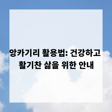 앙카기리 활용법: 건강하고 활기찬 삶을 위한 안내