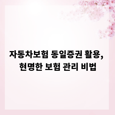 자동차보험 동일증권 활용, 현명한 보험 관리 비법