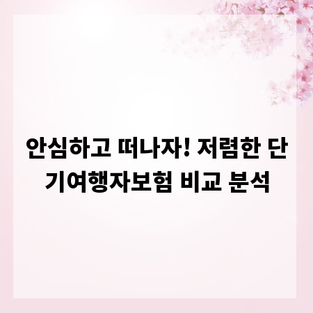 안심하고 떠나자! 저렴한 단기여행자보험 비교 분석