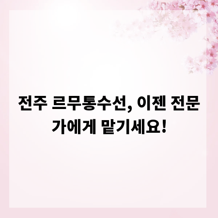 전주 르무통수선, 이젠 전문가에게 맡기세요!