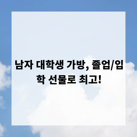 남자 대학생 가방, 졸업/입학 선물로 최고!