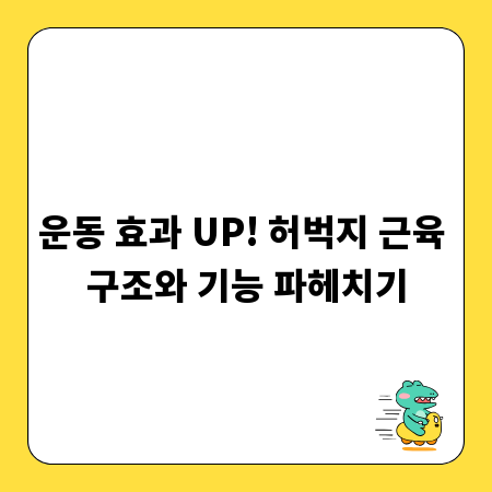 운동 효과 UP! 허벅지 근육 구조와 기능 파헤치기