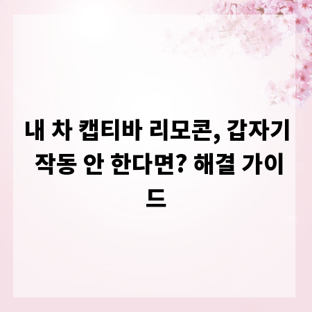 내 차 캡티바 리모콘, 갑자기 작동 안 한다면? 해결 가이드