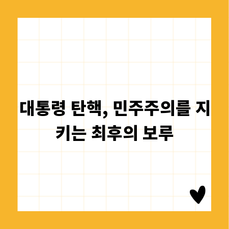 대통령 탄핵, 민주주의를 지키는 최후의 보루