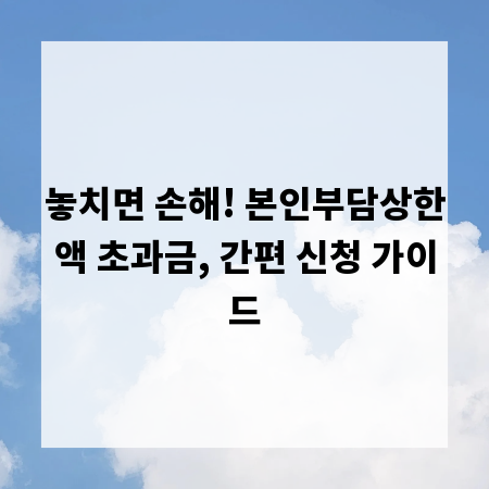 놓치면 손해! 본인부담상한액 초과금, 간편 신청 가이드