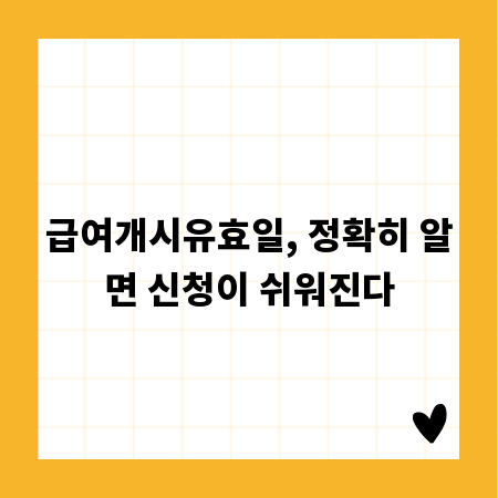 급여개시유효일, 정확히 알면 신청이 쉬워진다