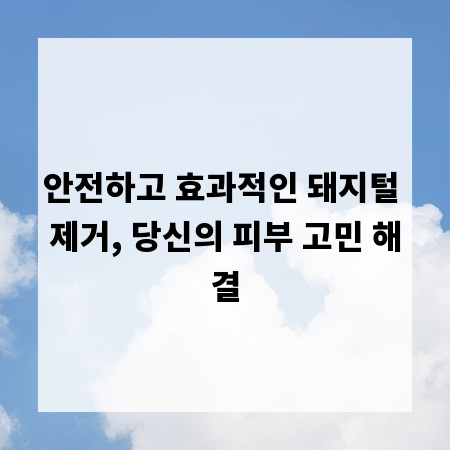 안전하고 효과적인 돼지털 제거, 당신의 피부 고민 해결