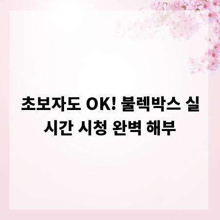 초보자도 OK! 불렉박스 실시간 시청 완벽 해부