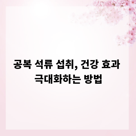 공복 석류 섭취, 건강 효과 극대화하는 방법