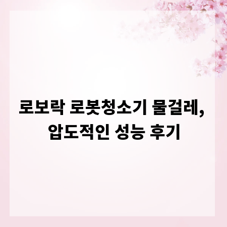 로보락 로봇청소기 물걸레, 압도적인 성능 후기