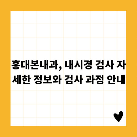 홍대본내과, 내시경 검사 자세한 정보와 검사 과정 안내