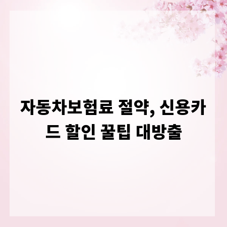 자동차보험료 절약, 신용카드 할인 꿀팁 대방출
