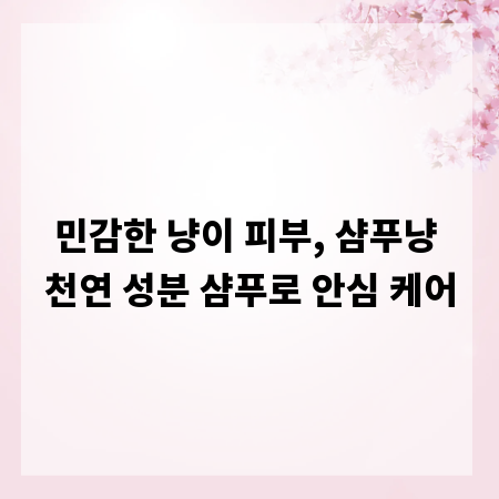 민감한 냥이 피부, 샴푸냥 천연 성분 샴푸로 안심 케어