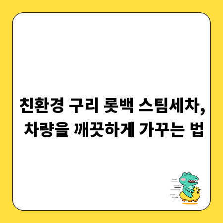 친환경 구리 롯백 스팀세차, 차량을 깨끗하게 가꾸는 법