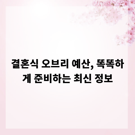 결혼식 오브리 예산, 똑똑하게 준비하는 최신 정보