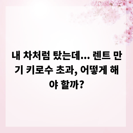 내 차처럼 탔는데... 렌트 만기 키로수 초과, 어떻게 해야 할까?