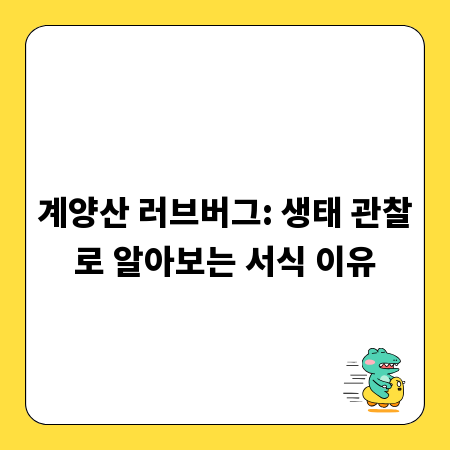 계양산 러브버그: 생태 관찰로 알아보는 서식 이유