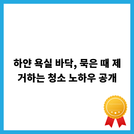 하얀 욕실 바닥, 묵은 때 제거하는 청소 노하우 공개