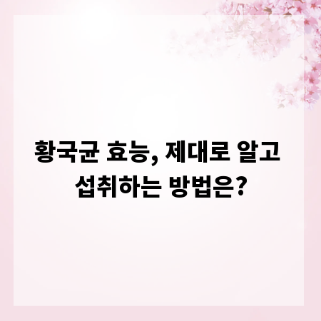 황국균 효능, 제대로 알고 섭취하는 방법은?