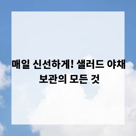 매일 신선하게! 샐러드 야채 보관의 모든 것