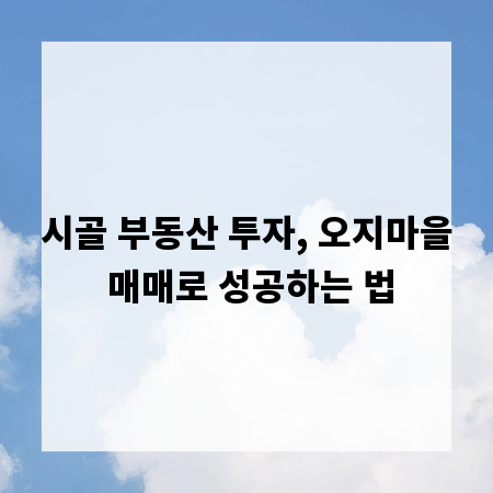 시골 부동산 투자, 오지마을 매매로 성공하는 법