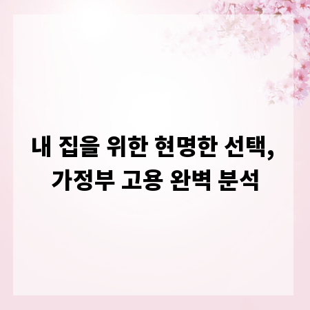 내 집을 위한 현명한 선택, 가정부 고용 완벽 분석