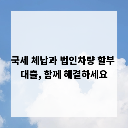 국세 체납과 법인차량 할부 대출, 함께 해결하세요