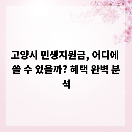 고양시 민생지원금, 어디에 쓸 수 있을까? 혜택 완벽 분석