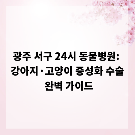 광주 서구 24시 동물병원: 강아지&middot;고양이 중성화 수술 완벽 가이드