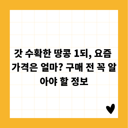 갓 수확한 땅콩 1되, 요즘 가격은 얼마? 구매 전 꼭 알아야 할 정보