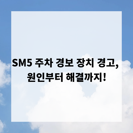SM5 주차 경보 장치 경고, 원인부터 해결까지!