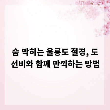 숨 막히는 울릉도 절경, 도선비와 함께 만끽하는 방법