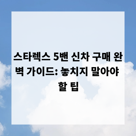 스타렉스 5밴 신차 구매 완벽 가이드: 놓치지 말아야 할 팁
