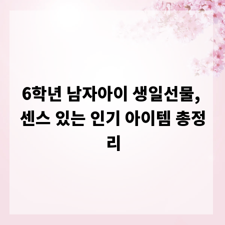 6학년 남자아이 생일선물, 센스 있는 인기 아이템 총정리