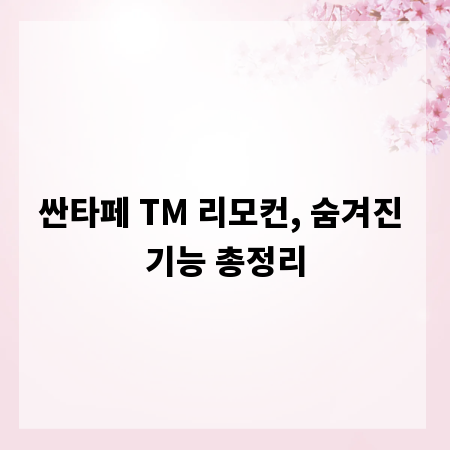 싼타페 TM 리모컨, 숨겨진 기능 총정리
