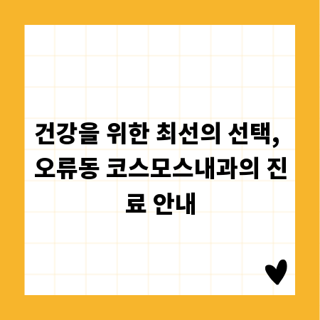 건강을 위한 최선의 선택, 오류동 코스모스내과의 진료 안내