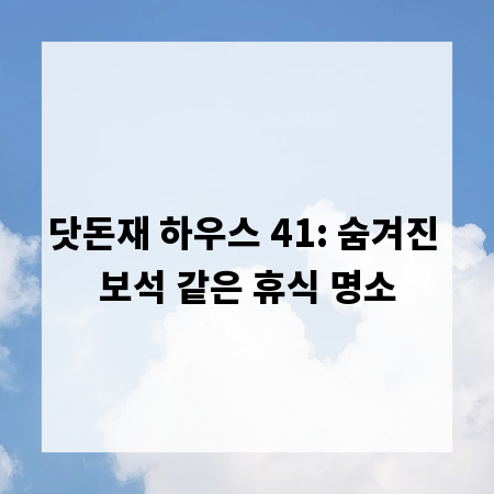 닷돈재 하우스 41: 숨겨진 보석 같은 휴식 명소