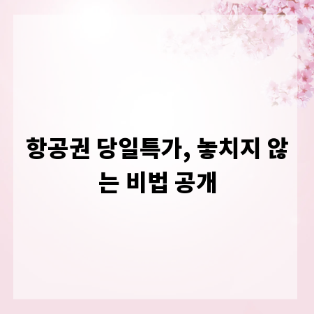 항공권 당일특가, 놓치지 않는 비법 공개