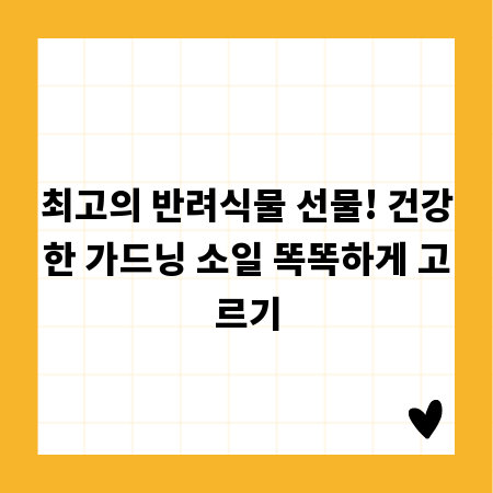 최고의 반려식물 선물! 건강한 가드닝 소일 똑똑하게 고르기