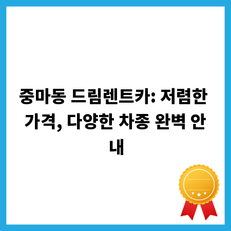 중마동 드림렌트카: 저렴한 가격, 다양한 차종 완벽 안내