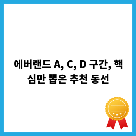 에버랜드 A, C, D 구간, 핵심만 뽑은 추천 동선