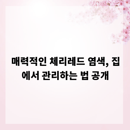 매력적인 체리레드 염색, 집에서 관리하는 법 공개