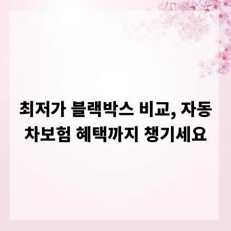 최저가 블랙박스 비교, 자동차보험 혜택까지 챙기세요