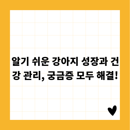 알기 쉬운 강아지 성장과 건강 관리, 궁금증 모두 해결!